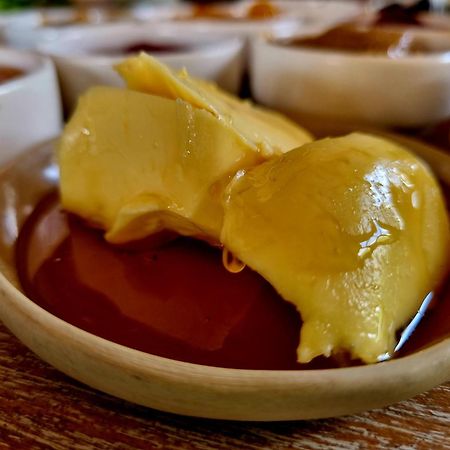 Olea Sigacik Pansiyon & Bistro Seferihisar Esterno foto