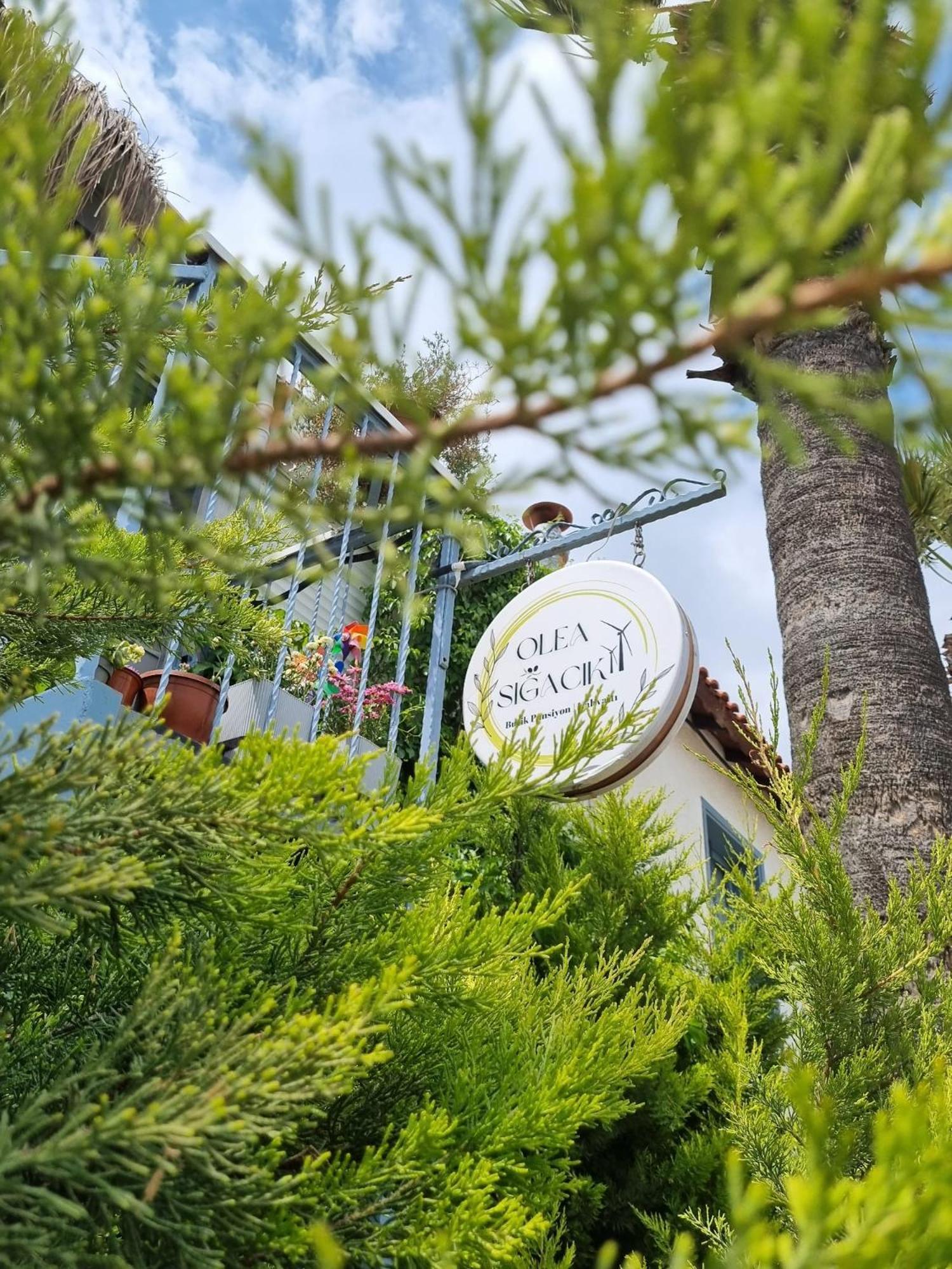 Olea Sigacik Pansiyon & Bistro Seferihisar Esterno foto