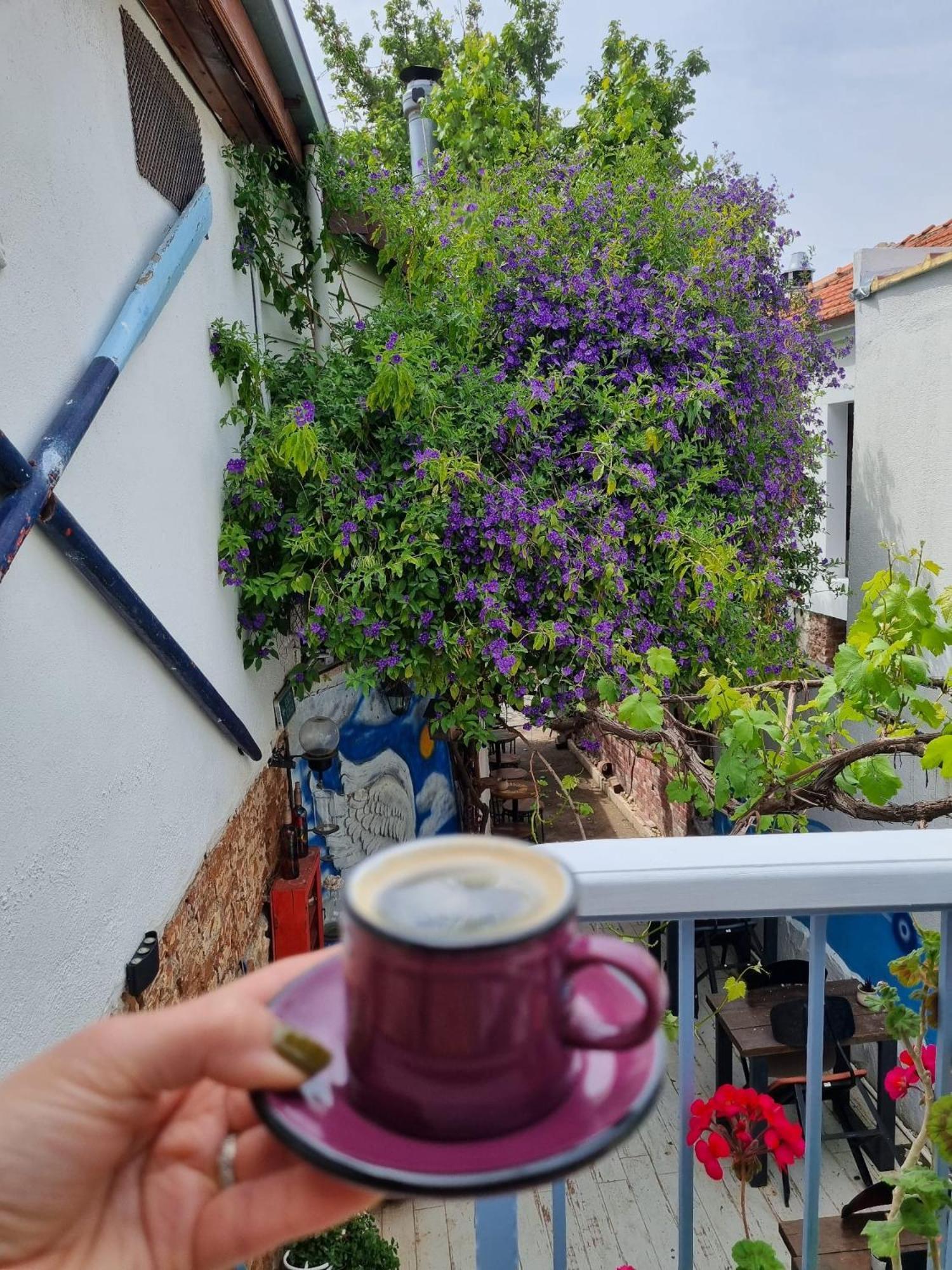 Olea Sigacik Pansiyon & Bistro Seferihisar Esterno foto